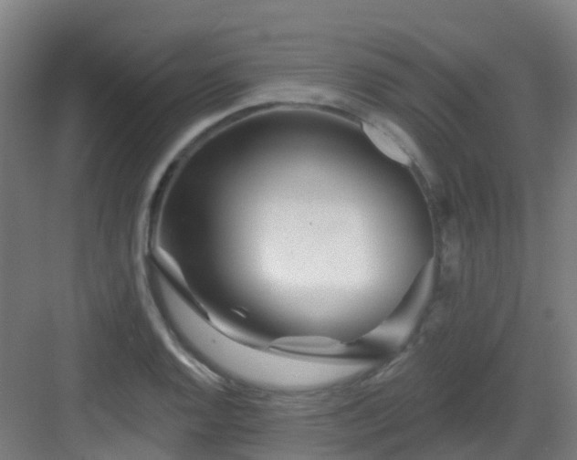 X0000082931128200702081534