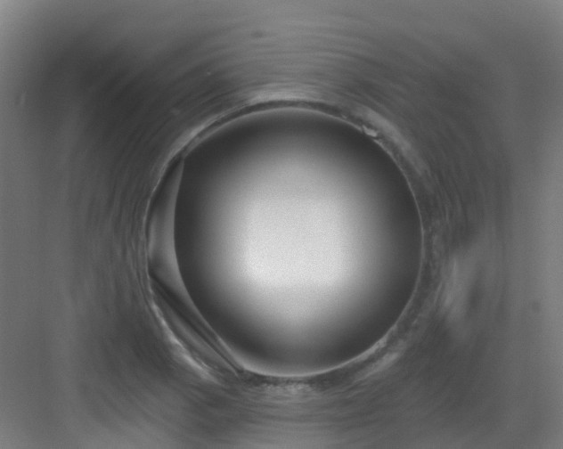 X0000082931129200702081534