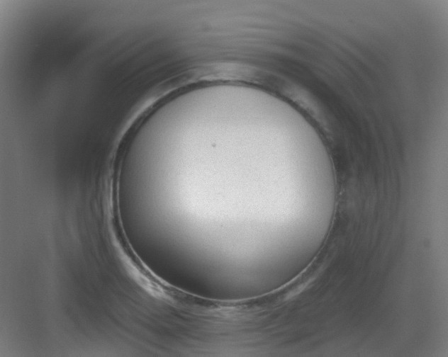 X0000082931130200702081534