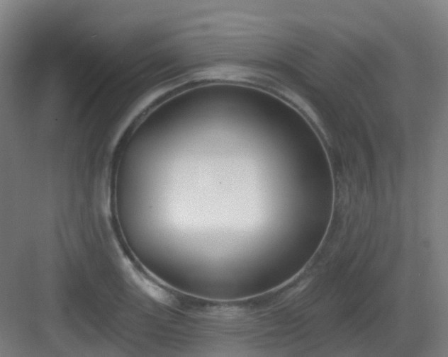 X0000082931131200702081534