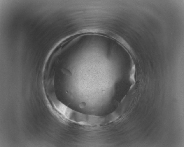 X0000082931132200702081534