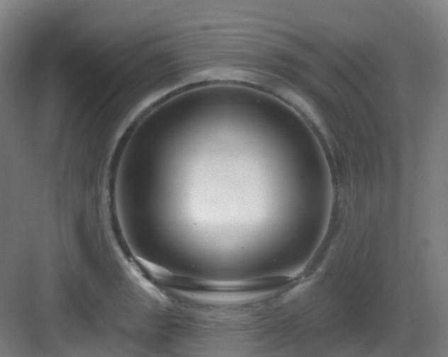 X0000082931133200702081534