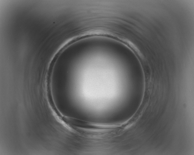 X0000082931134200702081534