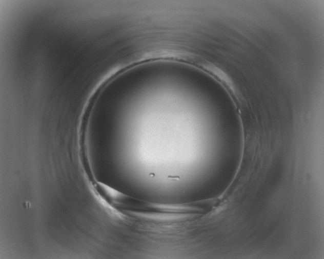 X0000082931135200702081534