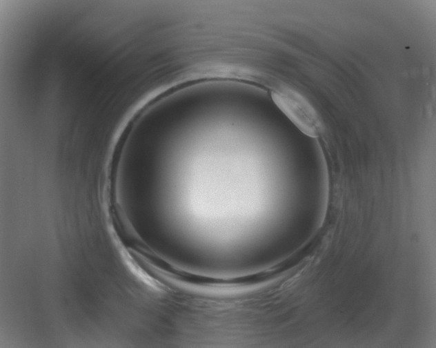 X0000082931136200702081534