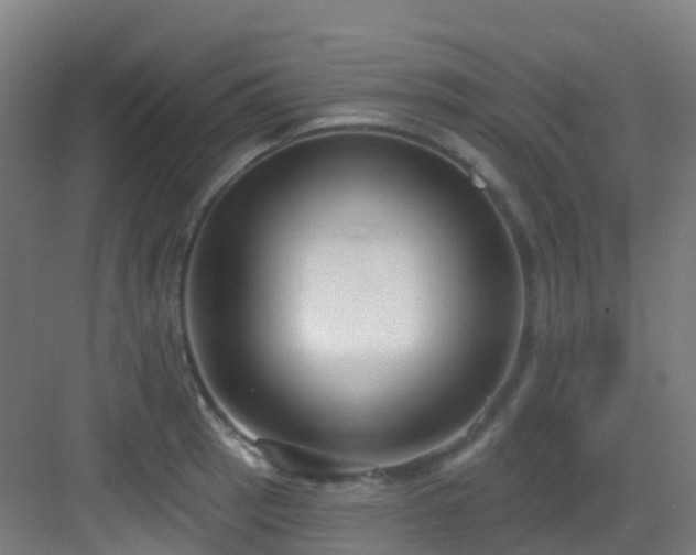 X0000082931137200702081534