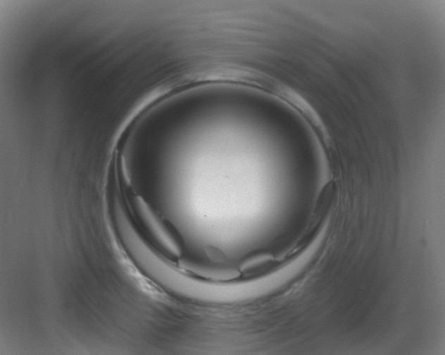 X0000082931138200702081534