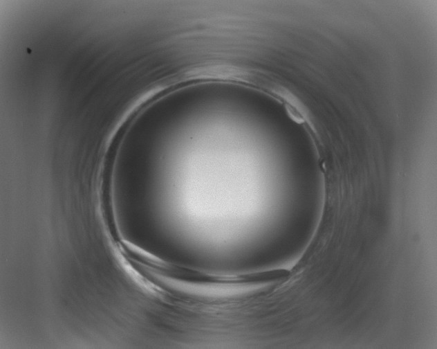 X0000082931139200702081534