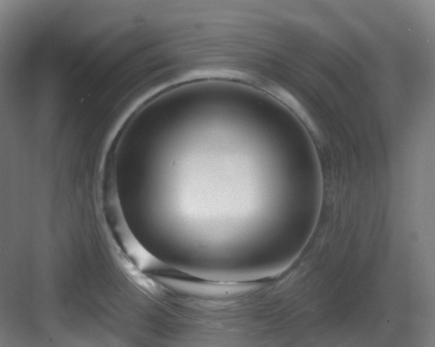 X0000082931140200702081534