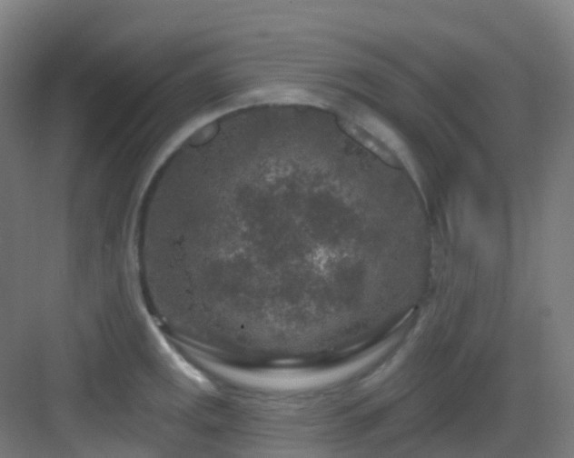 X0000082931141200702081534