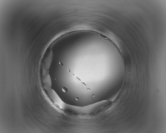 X0000082931142200702081534