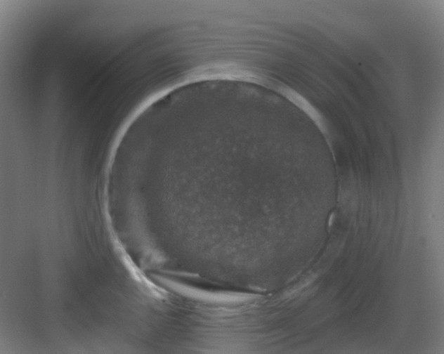 X0000082931144200702081534