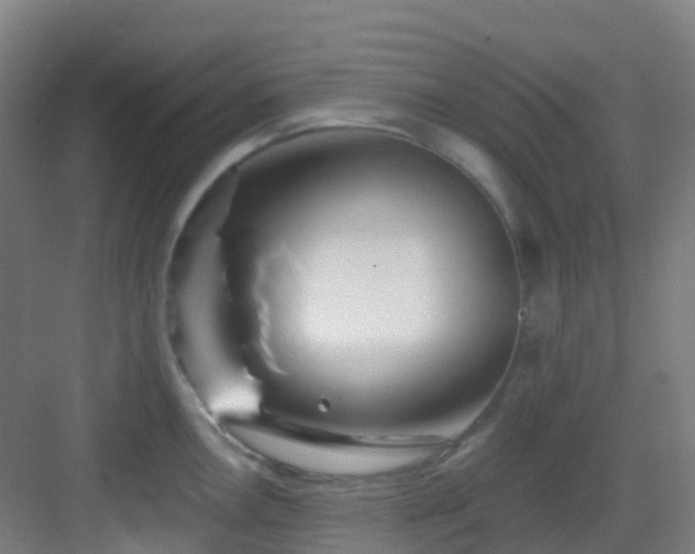 X0000082931146200702081534