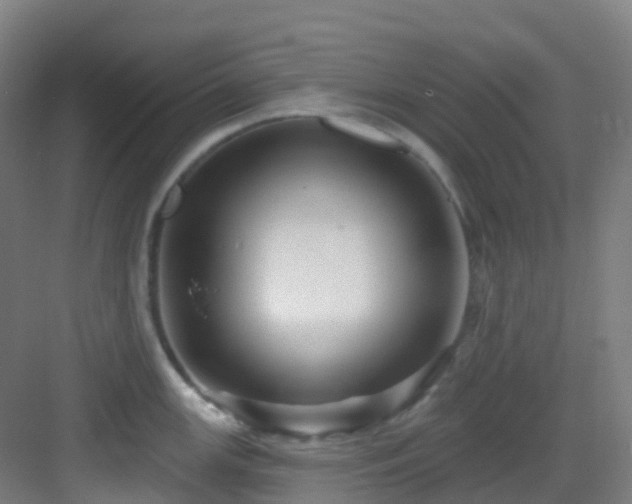 X0000082931147200702081534