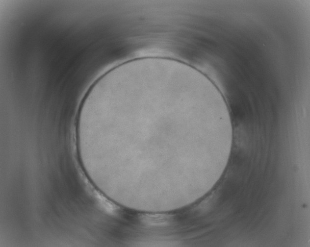 X0000082931150200702081534