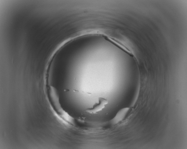 X0000082931151200702081534