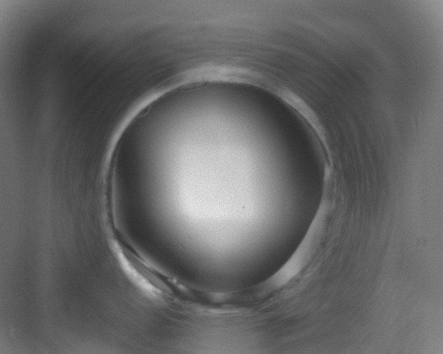 X0000082931152200702081534