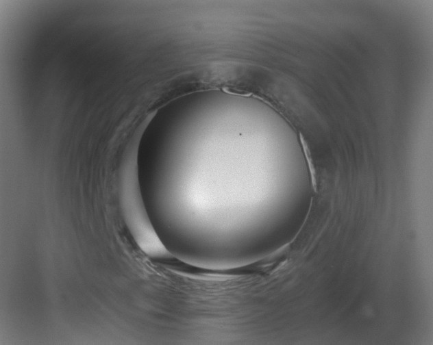 X0000082931153200702081533