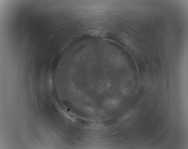 X0000082931154200702081533