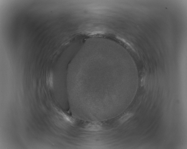 X0000082931156200702081533