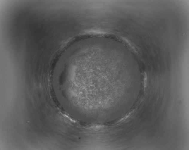 X0000082931157200702081533