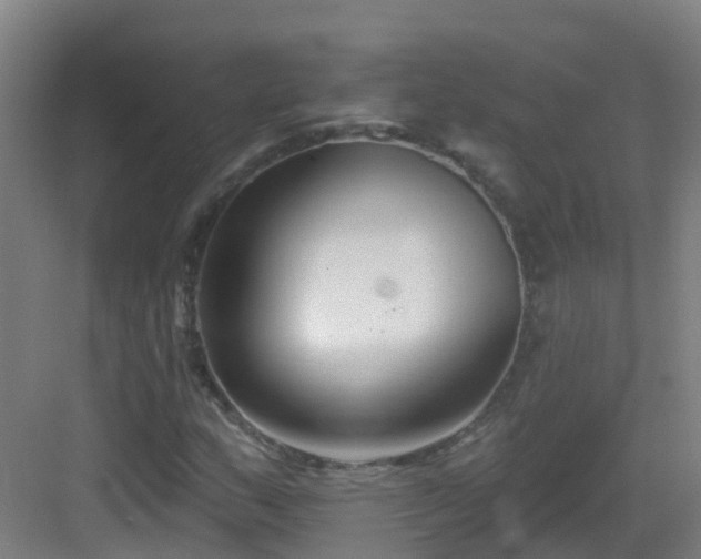 X0000082931159200702081533