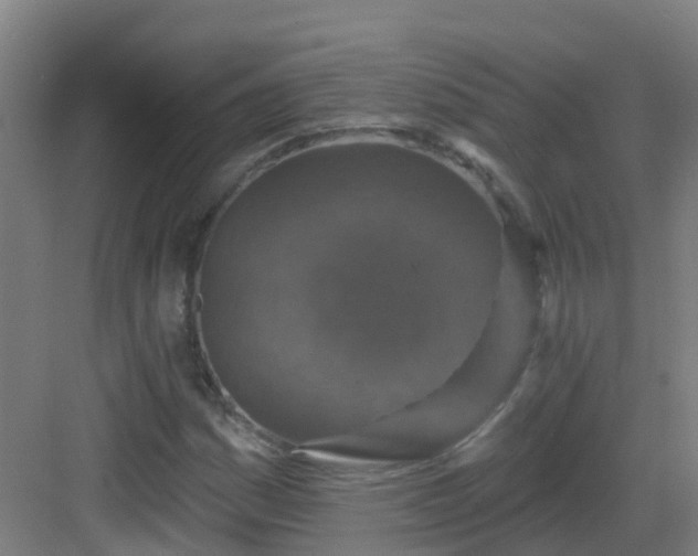 X0000082931161200702081533