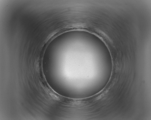 X0000082931162200702081533