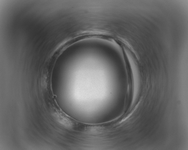 X0000082931163200702081533