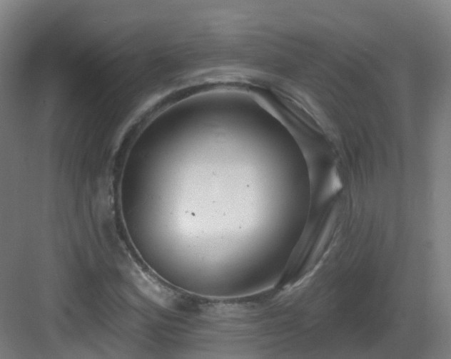 X0000082931164200702081533