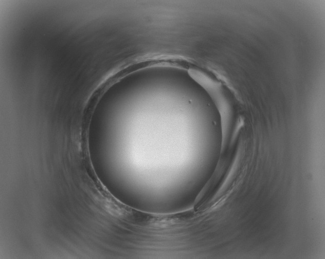 X0000082931165200702081533