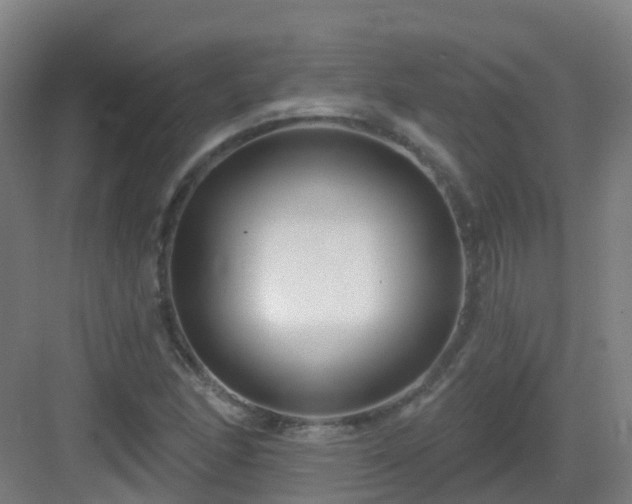 X0000082931166200702081533