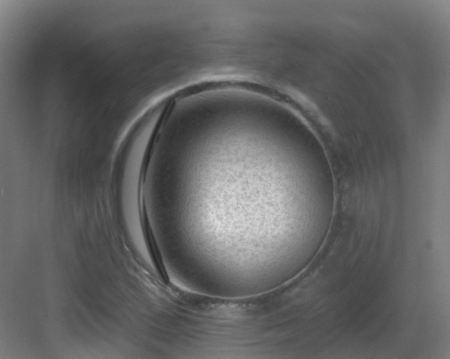 X0000082931167200702081533