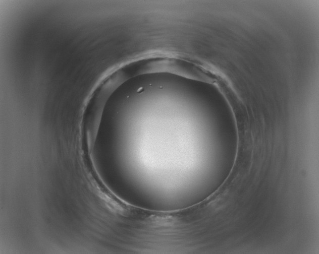 X0000082931168200702081533