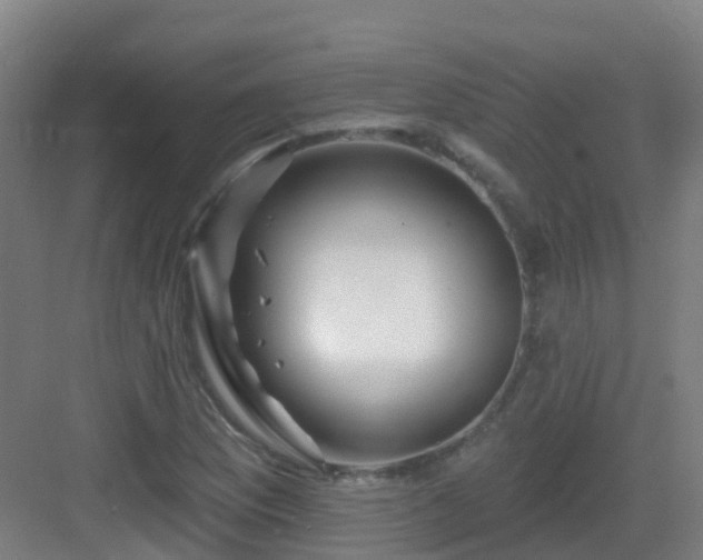 X0000082931169200702081533