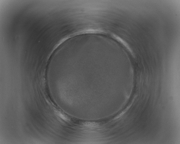 X0000082931170200702081533