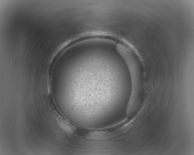 X0000082931171200702081533