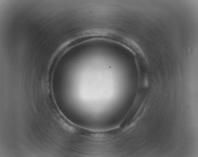 X0000082931172200702081533