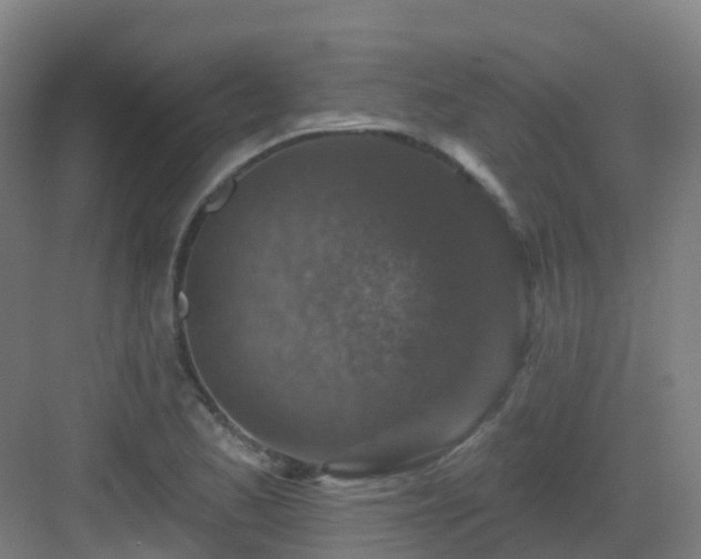 X0000082931173200702081533