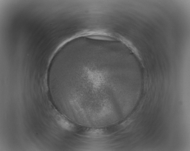 X0000082931174200702081533