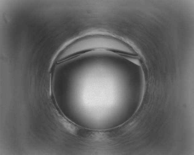 X0000082931175200702081533