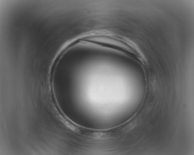 X0000082931176200702081533