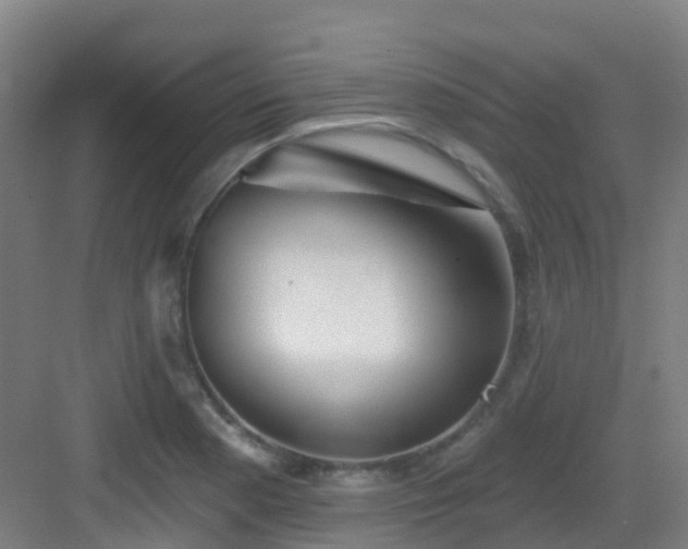 X0000082931177200702081533