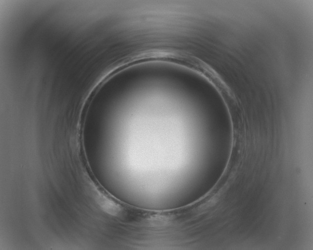 X0000082931178200702081533