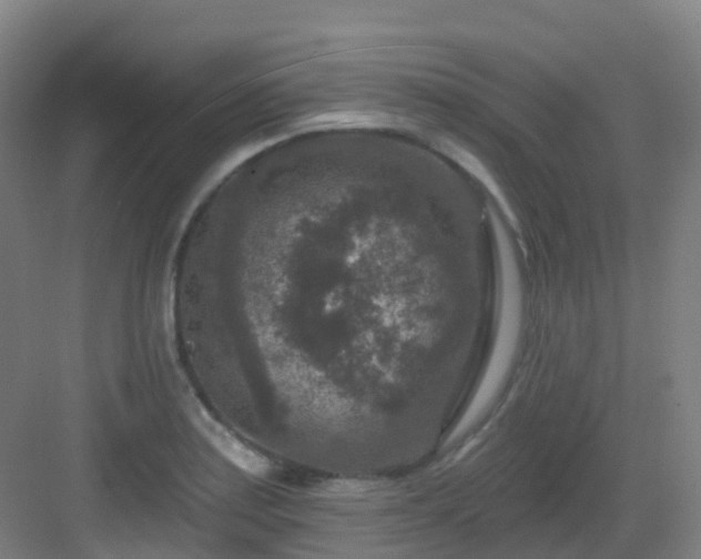 X0000082931179200702081533