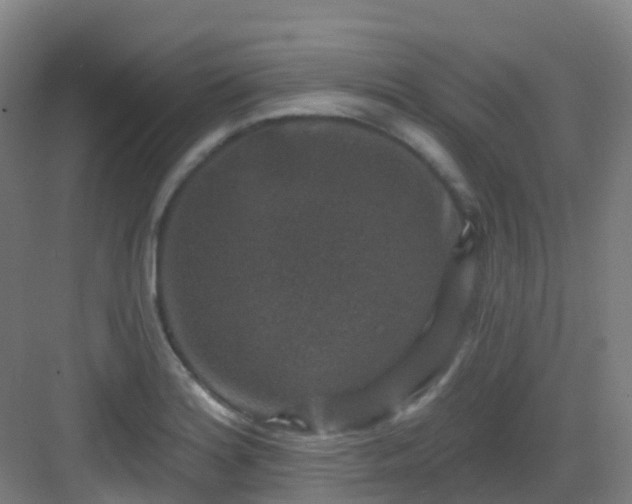 X0000082931180200702081533