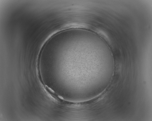 X0000082931182200702081533