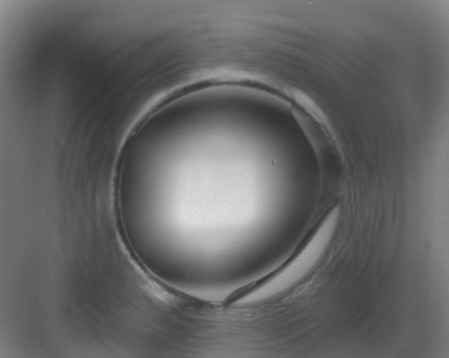 X0000082931183200702081533