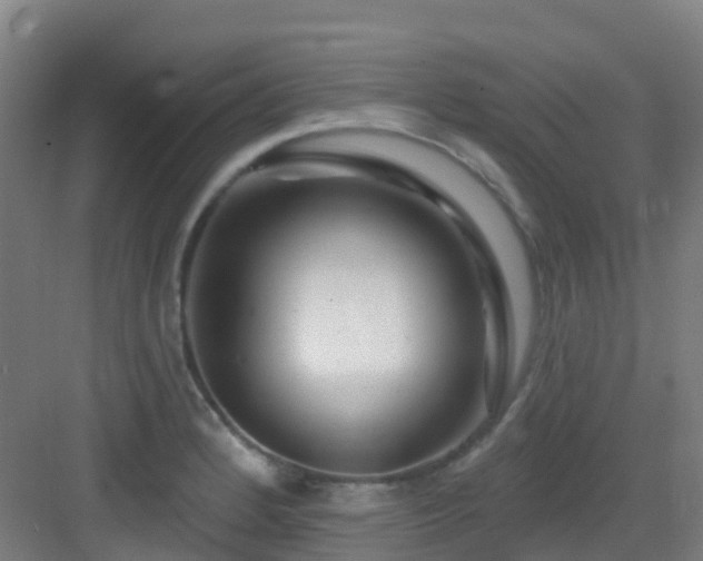 X0000082931184200702081533