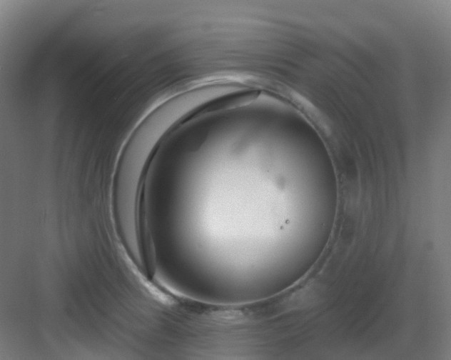 X0000082931186200702081533